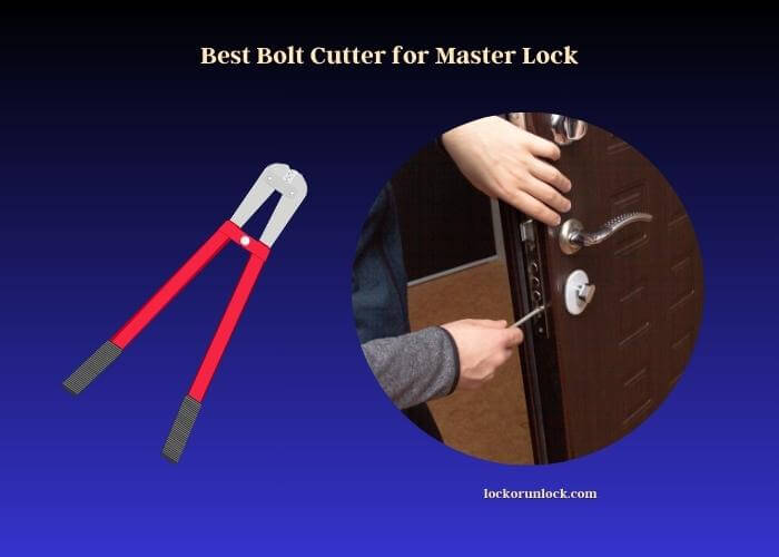 best bolt cutter for master lock
